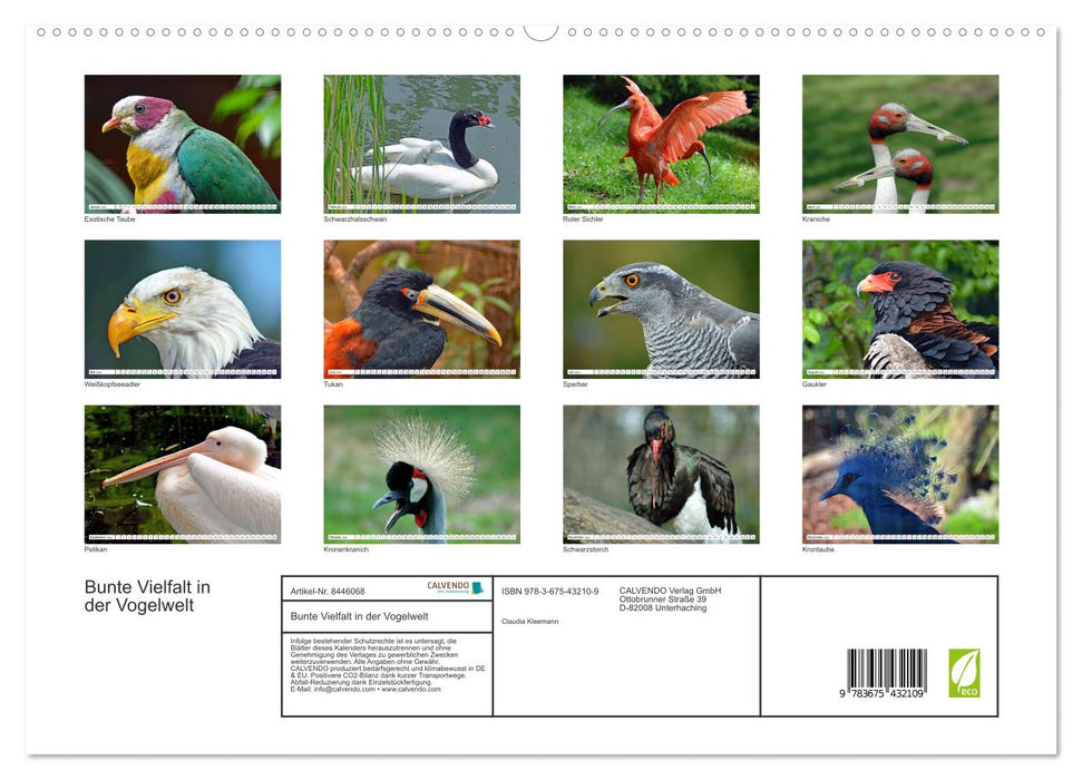 Bunte Vielfalt in der Vogelwelt (CALVENDO Premium Wandkalender 2024)