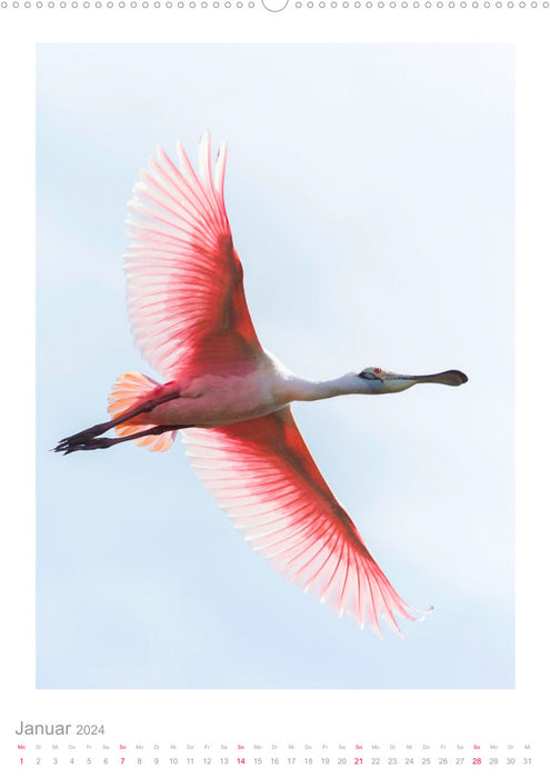 Pantanal – Unique Wildlife Paradise (CALVENDO Wall Calendar 2024) 