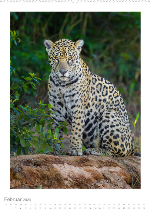 Pantanal – Einzigartiges Wildlife-Paradies (CALVENDO Premium Wandkalender 2024)