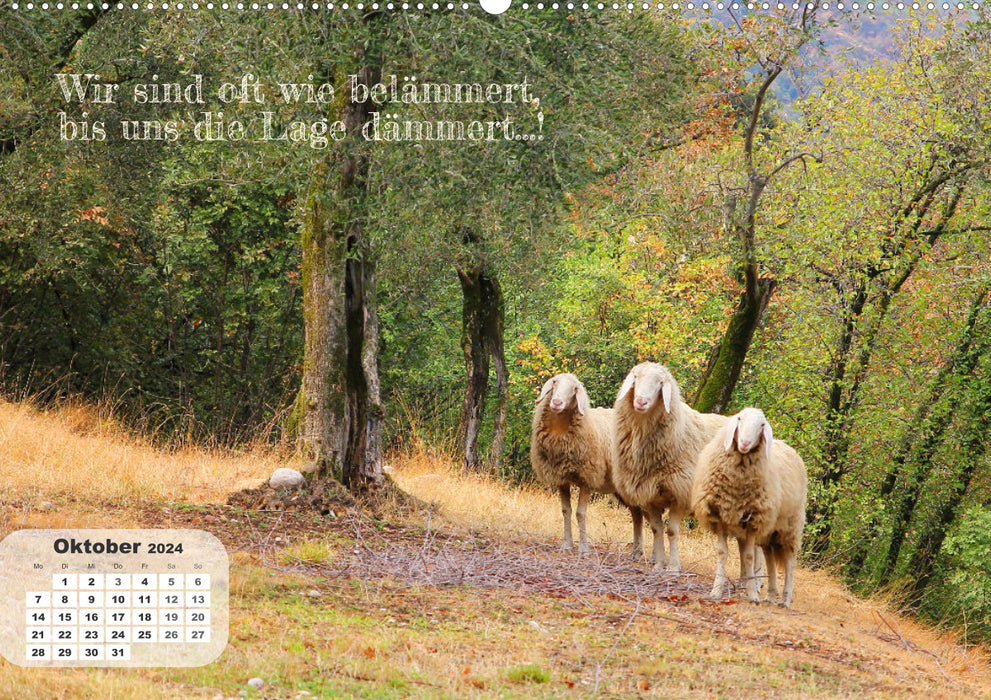 Animal and cheerful - life goes on 2024 (CALVENDO wall calendar 2024) 