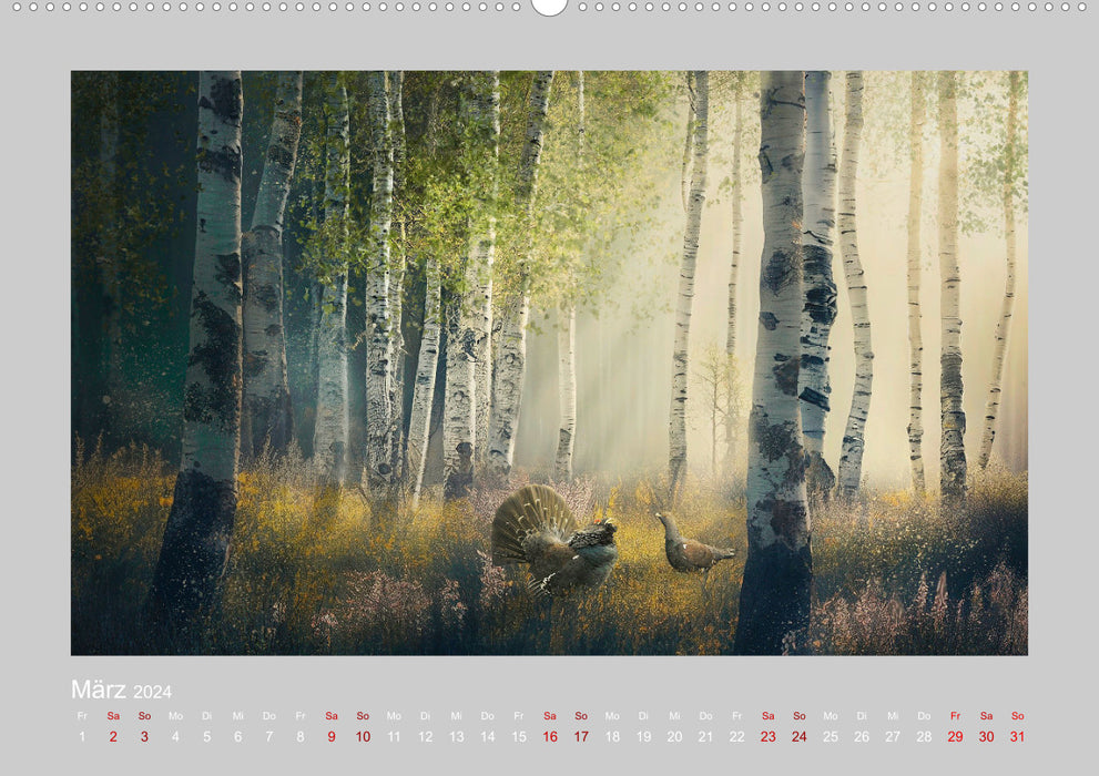 Wald der Märchen (CALVENDO Wandkalender 2024)