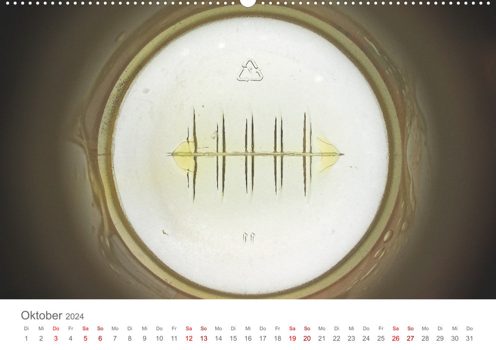 Drinking Lights 2024 - Photographs by Mio Schweiger (CALVENDO Premium Wall Calendar 2024) 