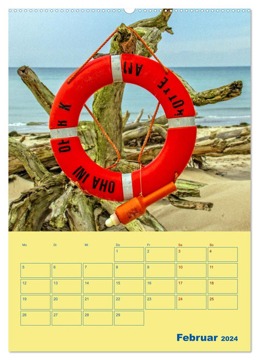 Sehnsuchtsort Fischland-Darß-Zingst (CALVENDO Wandkalender 2024)