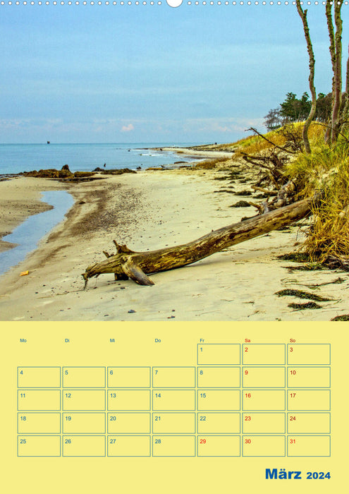 Sehnsuchtsort Fischland-Darß-Zingst (CALVENDO Wandkalender 2024)