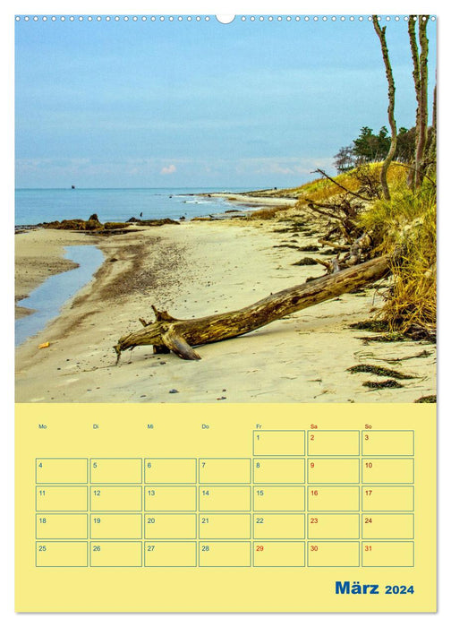 Lieu de nostalgie : Fischland-Darß-Zingst (calendrier mural CALVENDO 2024) 