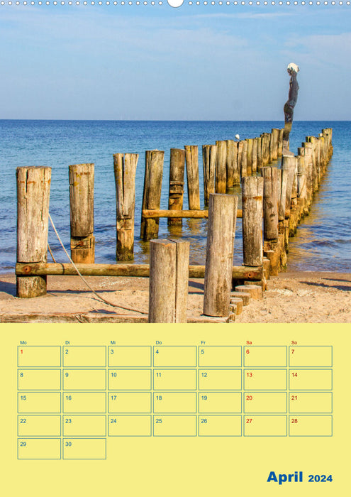 Sehnsuchtsort Fischland-Darß-Zingst (CALVENDO Wandkalender 2024)