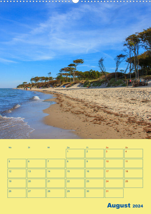 Sehnsuchtsort Fischland-Darß-Zingst (CALVENDO Wandkalender 2024)