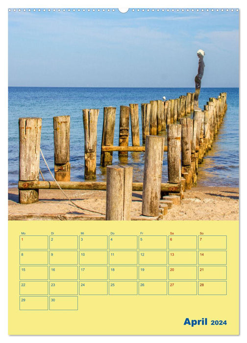 Lieu de nostalgie : Fischland-Darß-Zingst (Calendrier mural CALVENDO Premium 2024) 