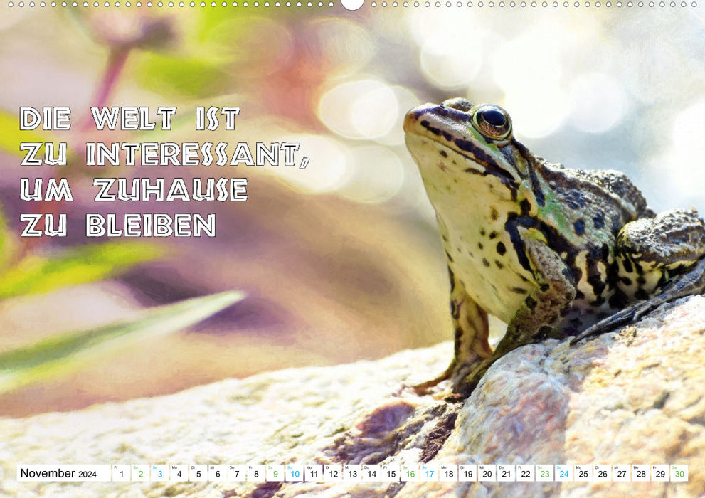 Frog croaks sayings (CALVENDO wall calendar 2024) 