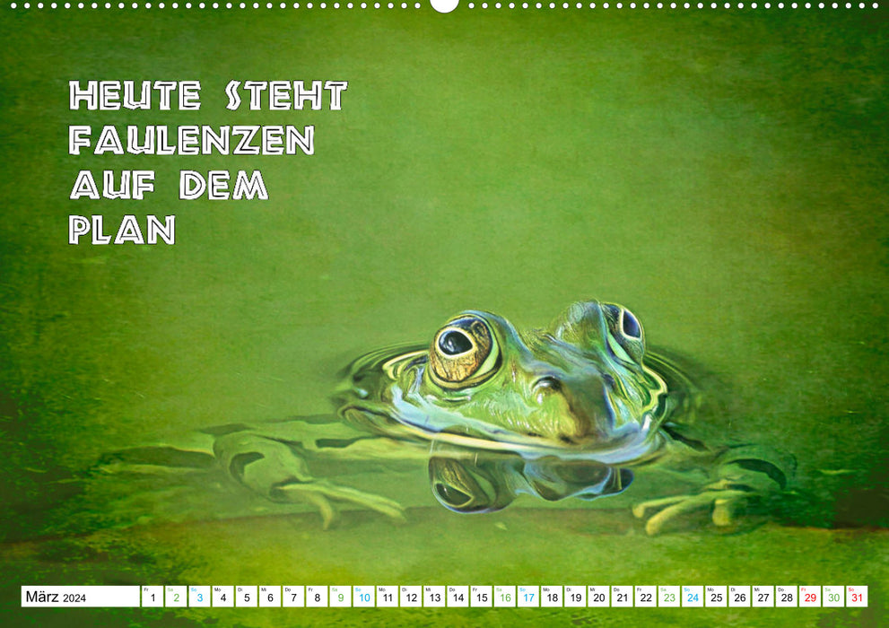 Frog croaks sayings (CALVENDO wall calendar 2024) 