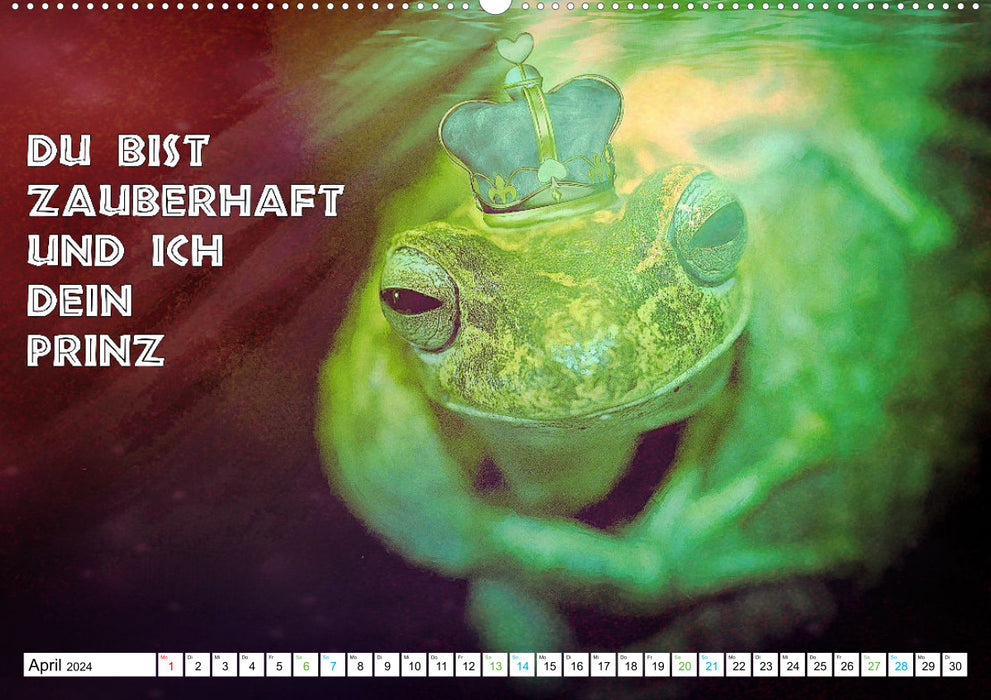 Frosch quakt Sprüche (CALVENDO Wandkalender 2024)