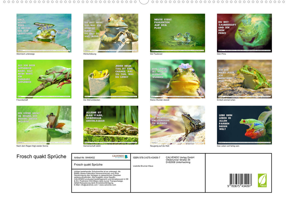 Dictons de coassements de grenouille (Calendrier mural CALVENDO Premium 2024) 
