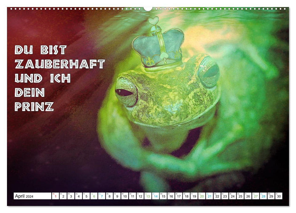 Frosch quakt Sprüche (CALVENDO Premium Wandkalender 2024)
