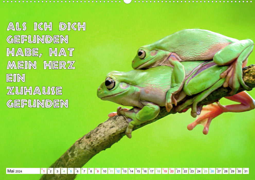 Frog croaks sayings (CALVENDO Premium Wall Calendar 2024) 