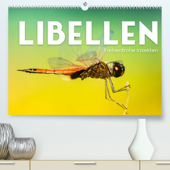 Dragonflies - Colorful Insects (CALVENDO Premium Wall Calendar 2024) 
