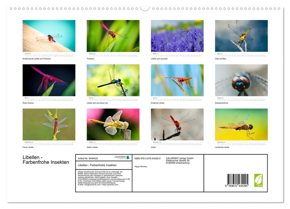 Libellules - Insectes colorés (Calvendo Premium Wall Calendar 2024) 