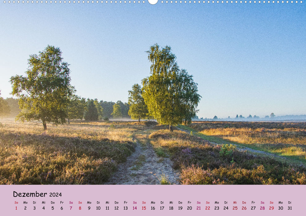 Lüneburg Heath Paths (CALVENDO Wall Calendar 2024) 
