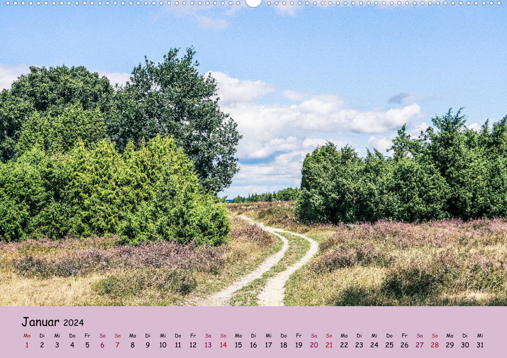 Lüneburg Heath Paths (CALVENDO Wall Calendar 2024) 