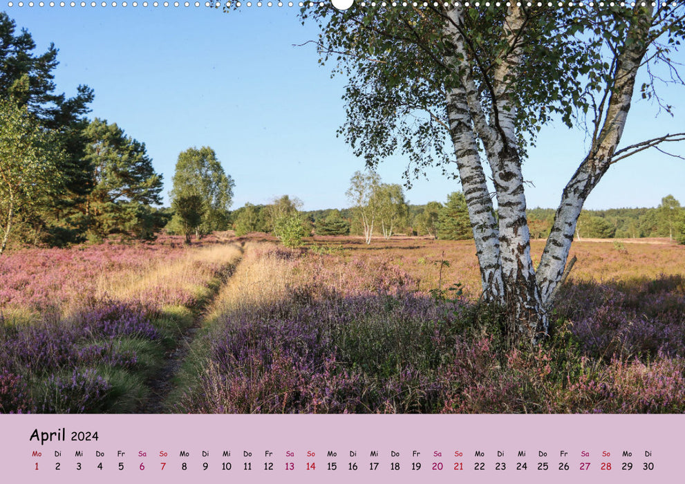 Lüneburg Heath Paths (CALVENDO Premium Wall Calendar 2024) 