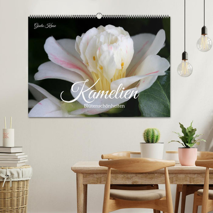 Camellias - flower beauties (CALVENDO wall calendar 2024) 