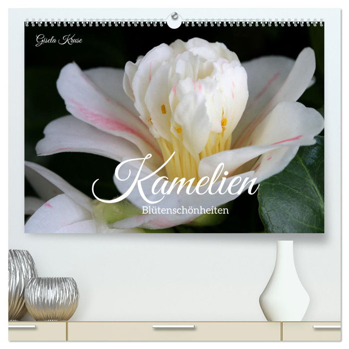 Camellias - flower beauties (CALVENDO Premium Wall Calendar 2024) 