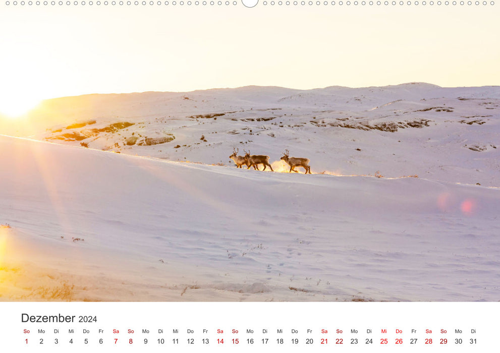 Zwischen den Eisbergen in Grönland (CALVENDO Premium Wandkalender 2024)