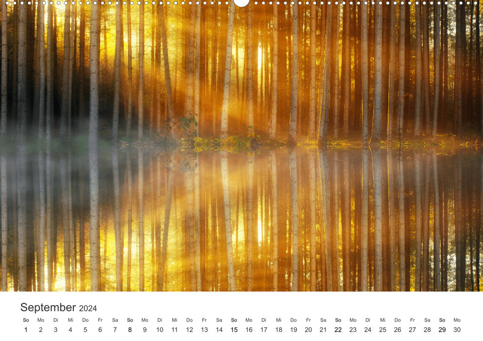 Moments of light - photographs that shine in a special light. (CALVENDO wall calendar 2024) 