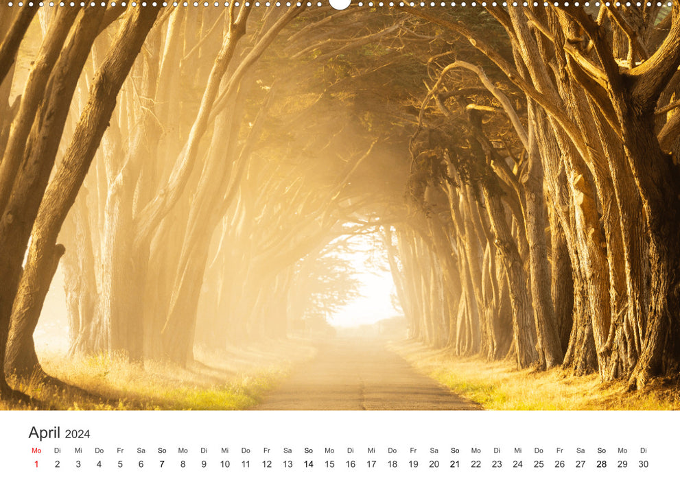 Lichtmomente - Fotografien, die in einem besonderen Licht erstrahlen. (CALVENDO Premium Wandkalender 2024)