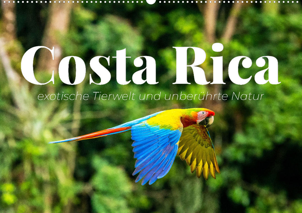 Costa Rica - exotic wildlife and untouched nature (CALVENDO wall calendar 2024) 