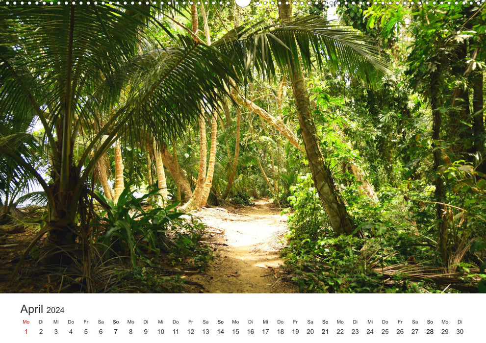Costa Rica - exotische Tierwelt und unberührte Natur (CALVENDO Premium Wandkalender 2024)