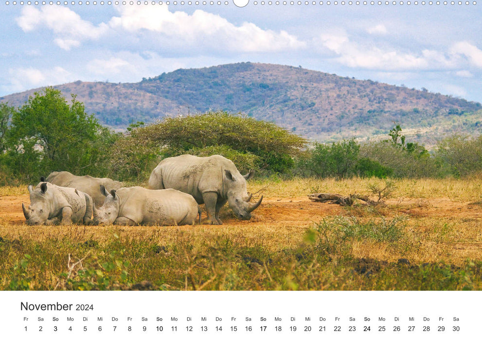 Safari à travers l'Afrique (Calvendo Premium Wall Calendar 2024) 