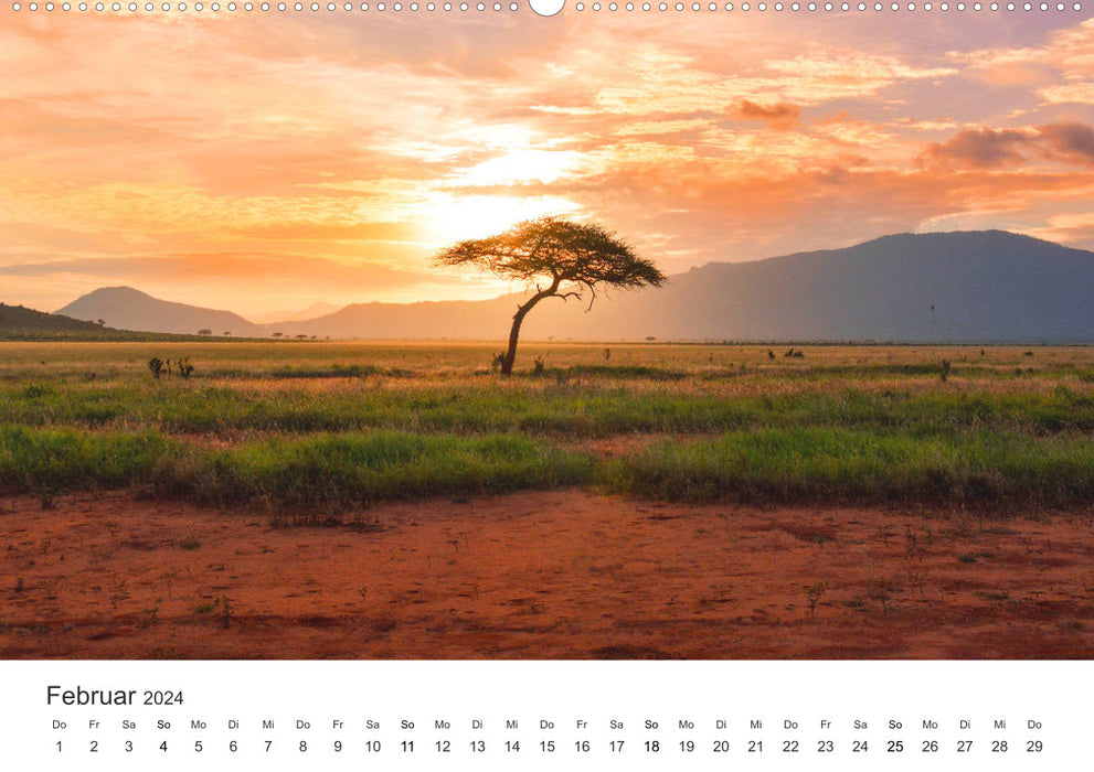 Safari à travers l'Afrique (Calvendo Premium Wall Calendar 2024) 