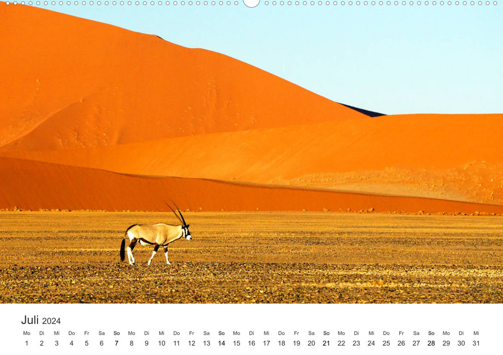 Safari à travers l'Afrique (Calvendo Premium Wall Calendar 2024) 