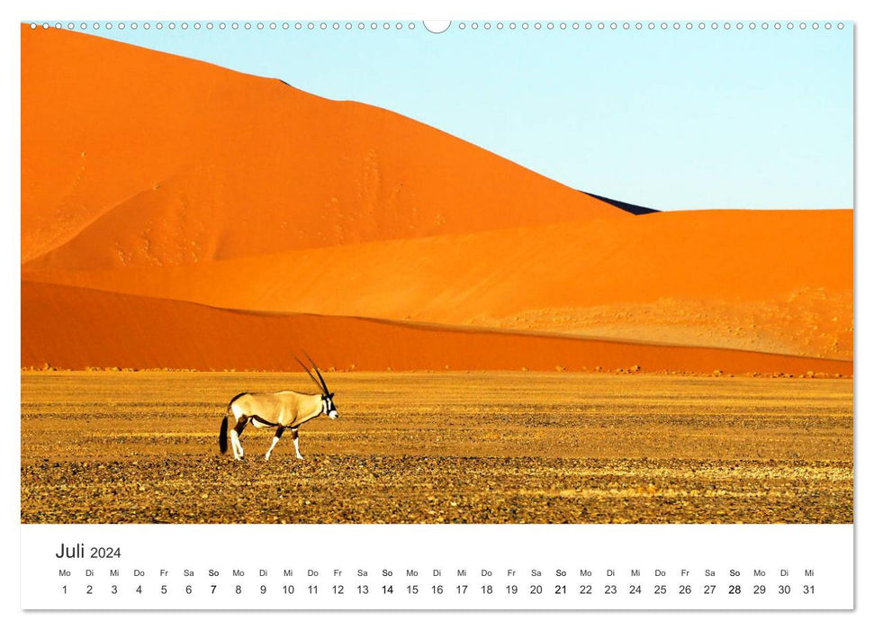 Safari durch Afrika (CALVENDO Premium Wandkalender 2024)