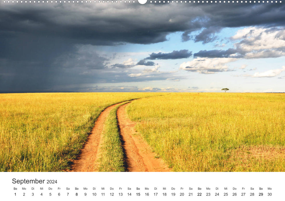 Safari à travers l'Afrique (Calvendo Premium Wall Calendar 2024) 