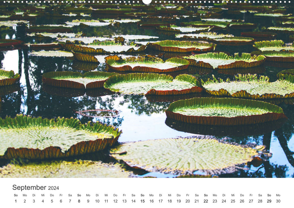 Fantastic Mauritius (CALVENDO Premium Wall Calendar 2024) 