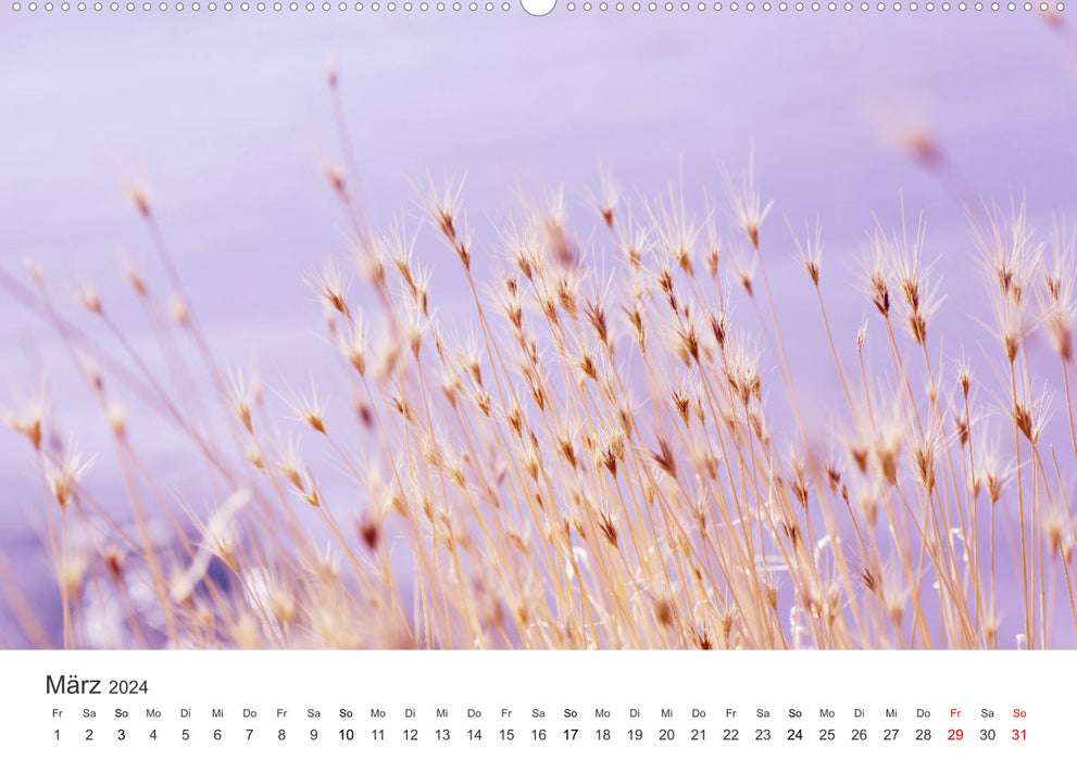 Mindfulness - For a life with more balance. (CALVENDO Premium Wall Calendar 2024) 