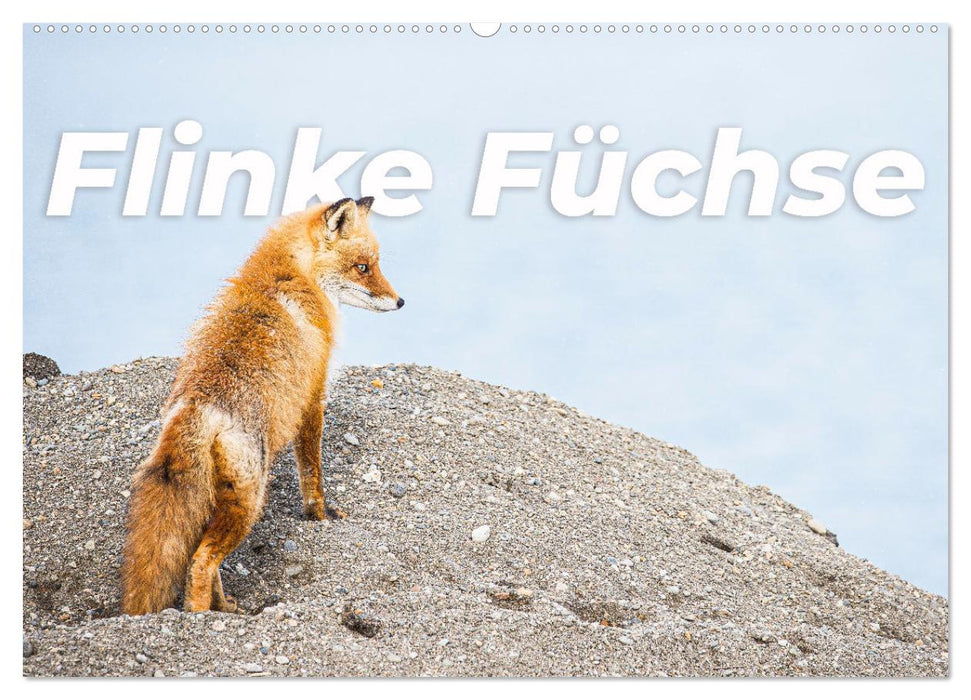 Nimble foxes (CALVENDO wall calendar 2024) 