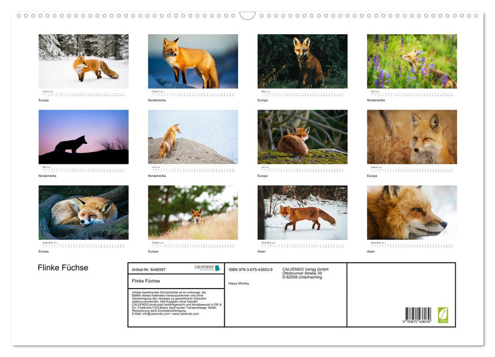 Nimble foxes (CALVENDO wall calendar 2024) 