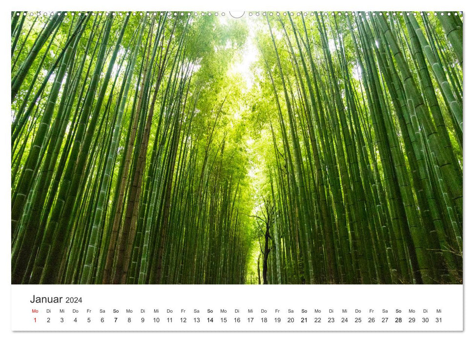 Japon - Terre de contrastes (Calvendo Premium Wall Calendar 2024) 