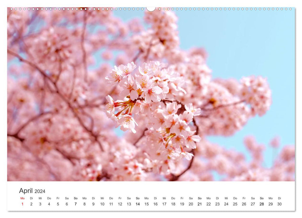 Japon - Terre de contrastes (Calvendo Premium Wall Calendar 2024) 