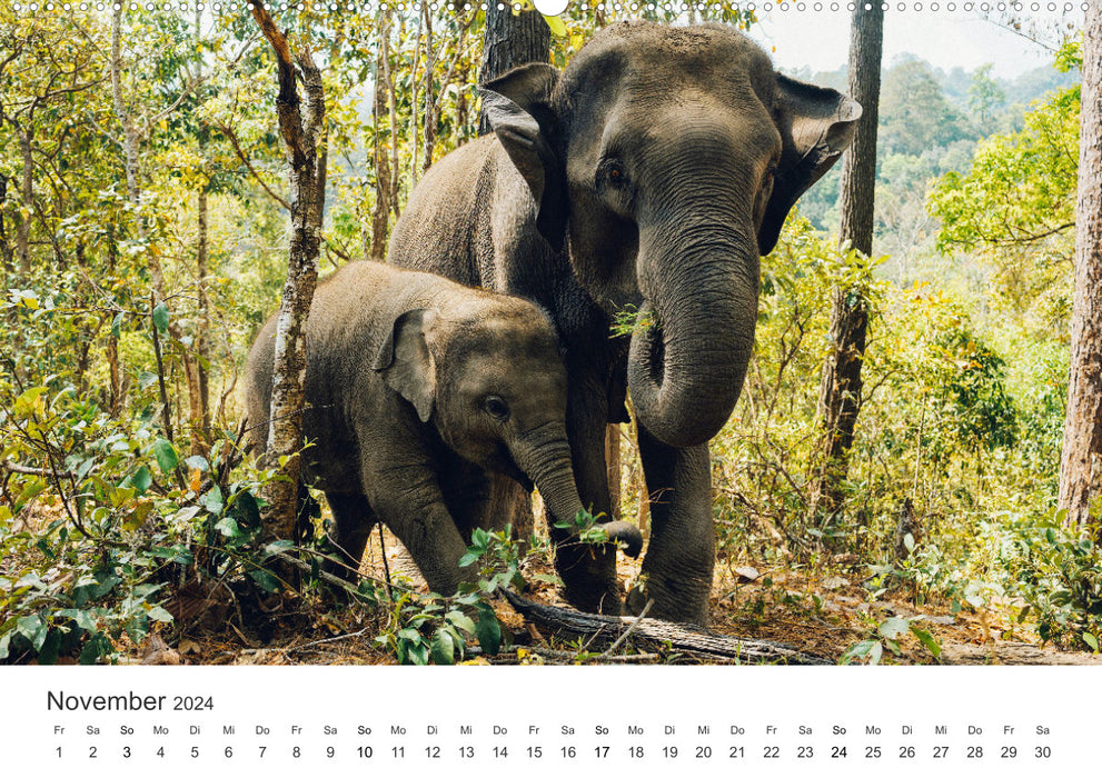 Thailand - The Land of Smiles. (CALVENDO Premium Wall Calendar 2024) 