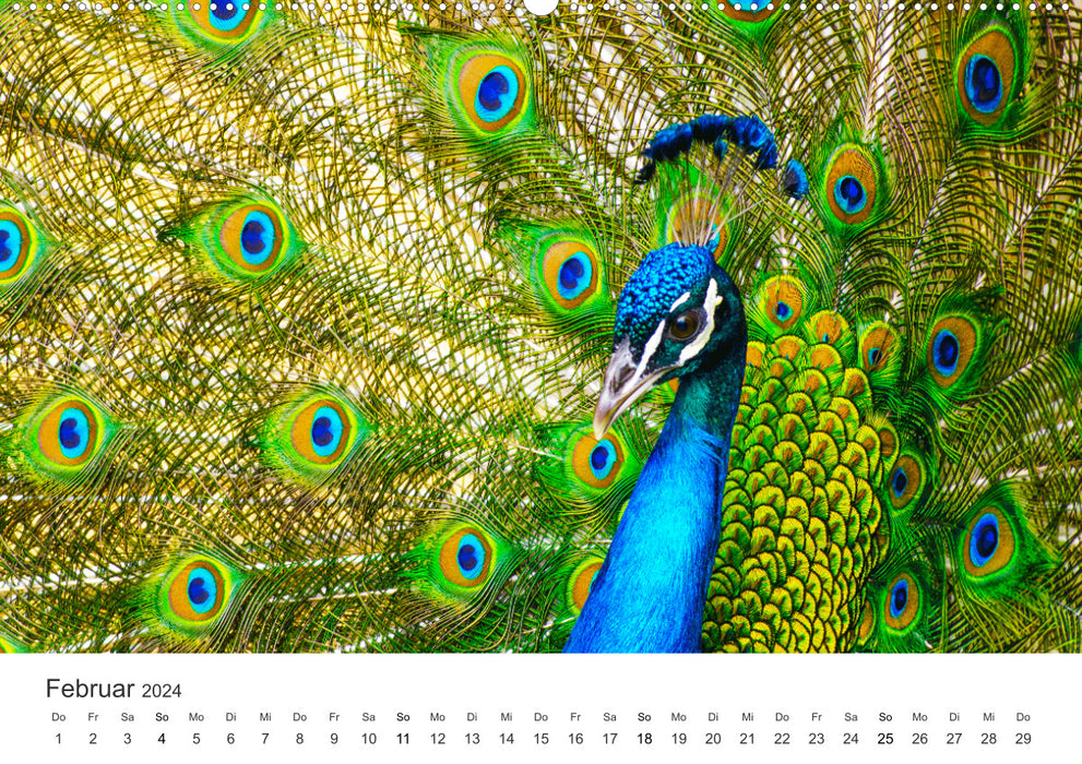Farbenfrohe Tierwelt (CALVENDO Wandkalender 2024)