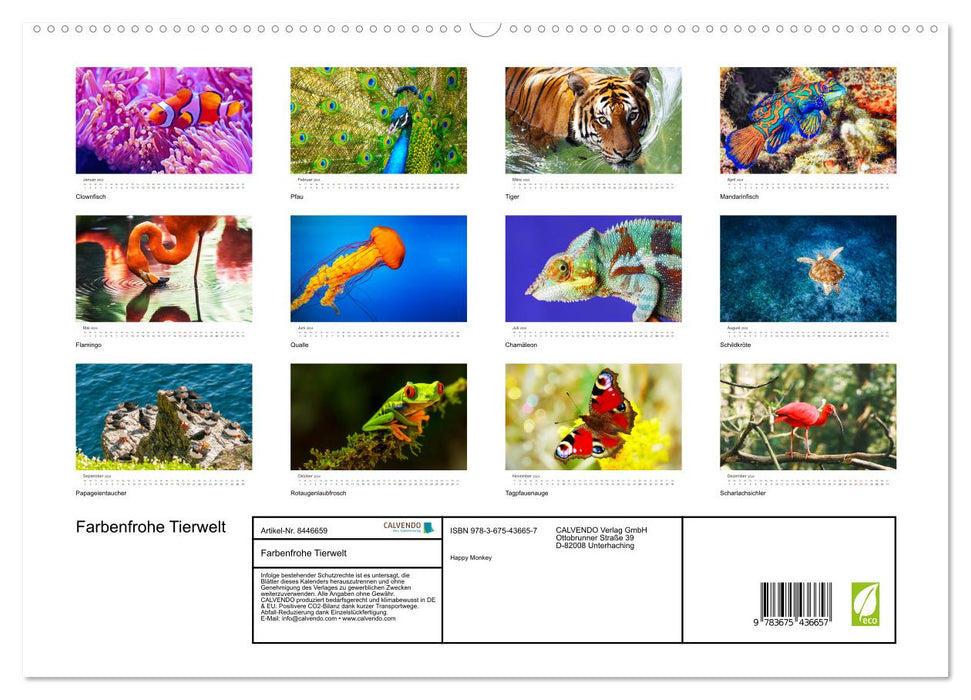 Farbenfrohe Tierwelt (CALVENDO Premium Wandkalender 2024)