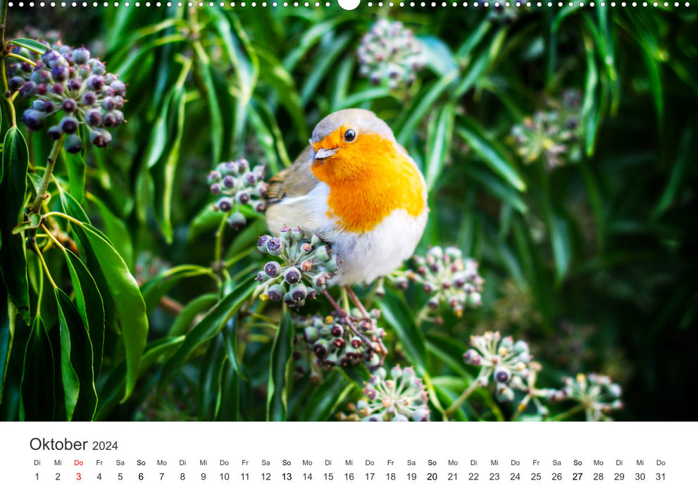 Bird World - The Kings of the Skies. (CALVENDO wall calendar 2024) 