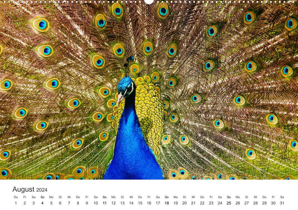 Bird World - The Kings of the Skies. (CALVENDO wall calendar 2024) 