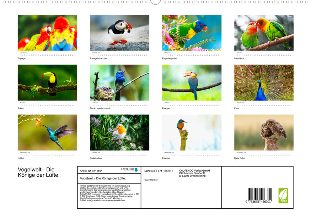 Bird World - The Kings of the Skies. (CALVENDO Premium Wall Calendar 2024) 