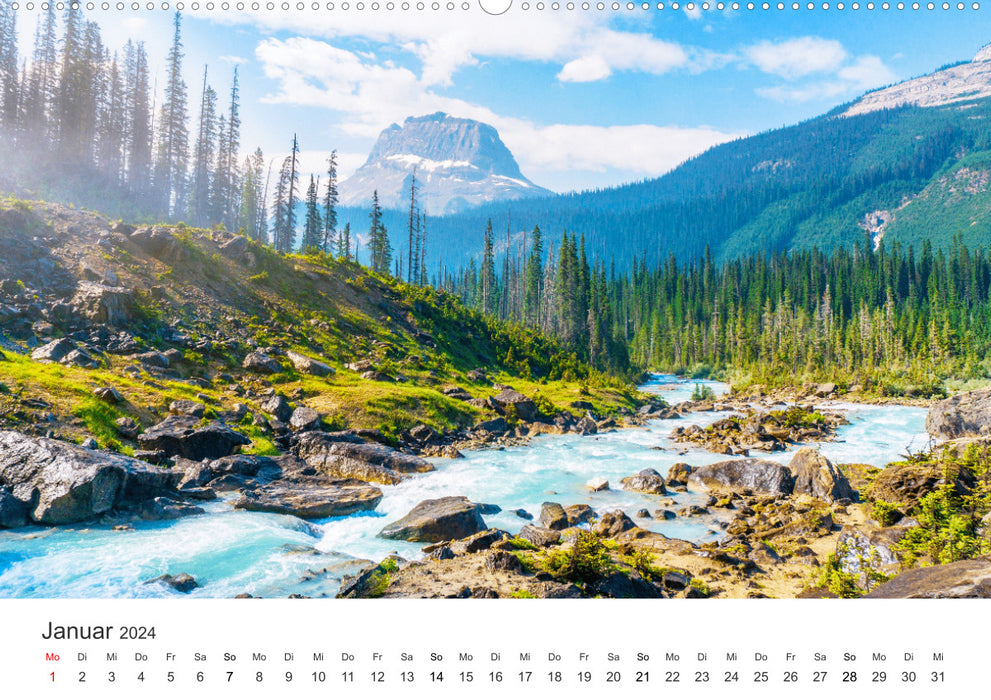 Water, our elixir of life. (CALVENDO Premium Wall Calendar 2024) 