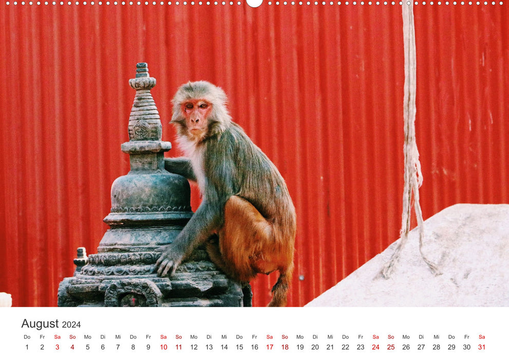 Népal - Au milieu de l'Himalaya (Calvendo Premium Wall Calendar 2024) 