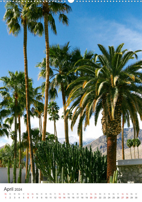 Palm Springs - Immer der Sonne nach. (CALVENDO Wandkalender 2024)